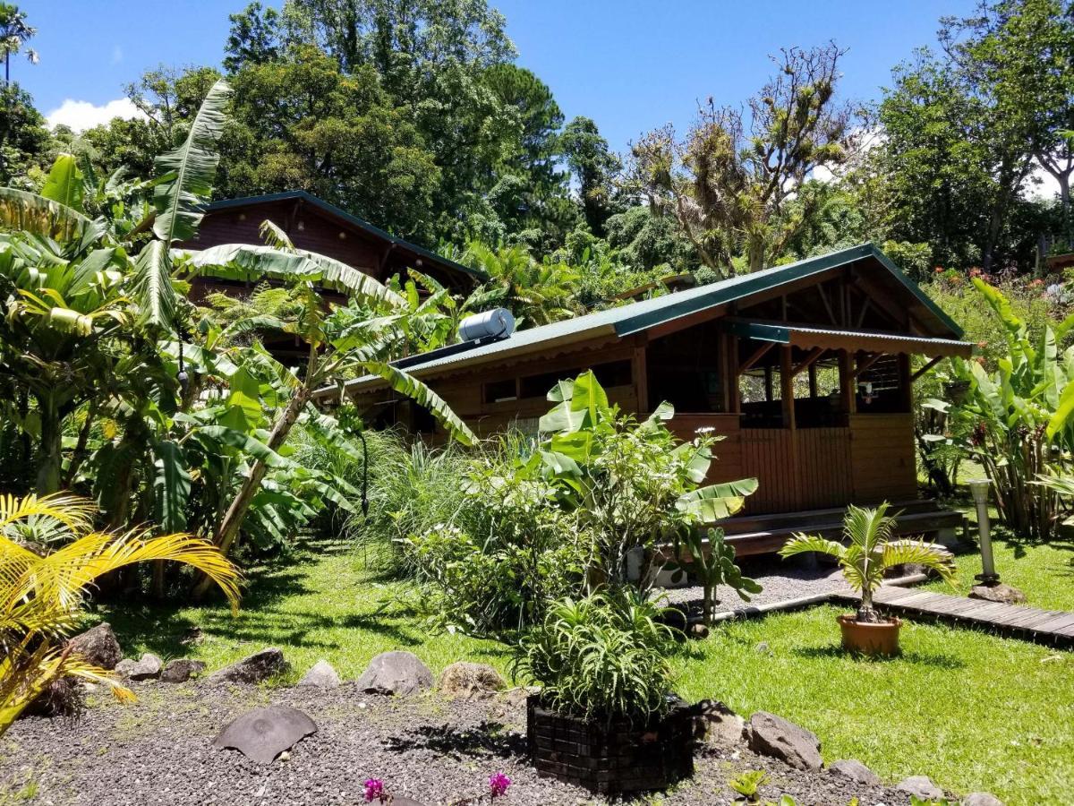 Les Bananes Vertes Ecolodges Сен-Клод Экстерьер фото