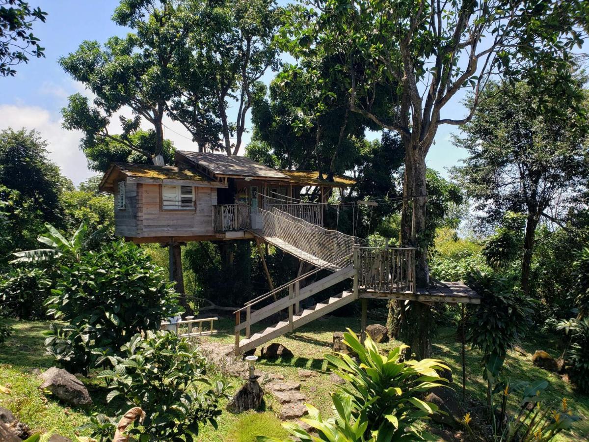 Les Bananes Vertes Ecolodges Сен-Клод Экстерьер фото
