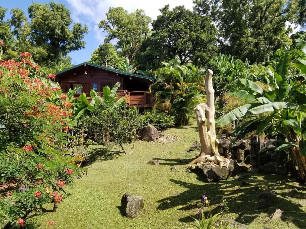 Les Bananes Vertes Ecolodges Сен-Клод Экстерьер фото