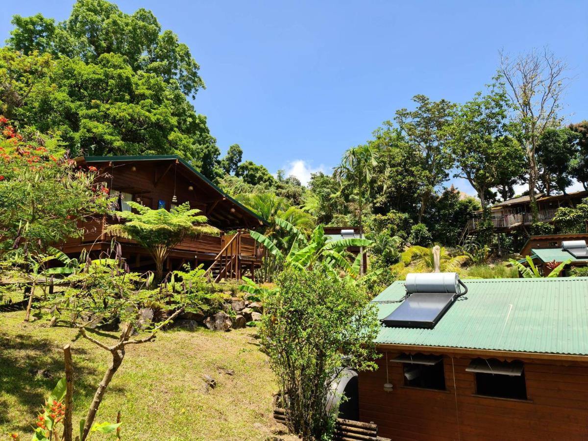Les Bananes Vertes Ecolodges Сен-Клод Экстерьер фото
