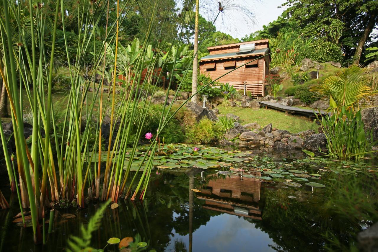 Les Bananes Vertes Ecolodges Сен-Клод Экстерьер фото